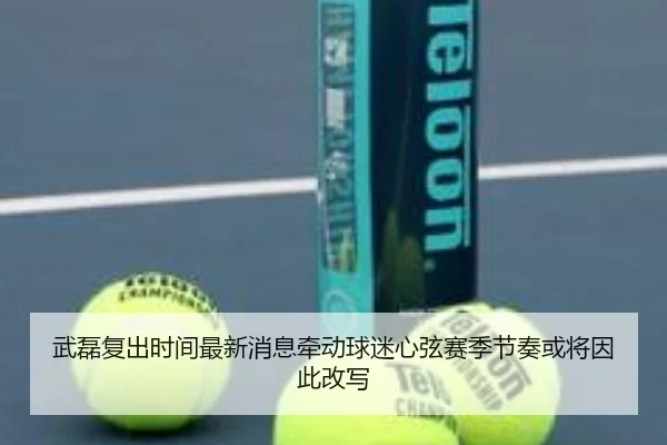 武磊复出时间最新消息牵动球迷心弦赛季节奏或将因此改写